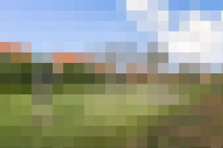 Inslag 34 Laren thumbnail 26