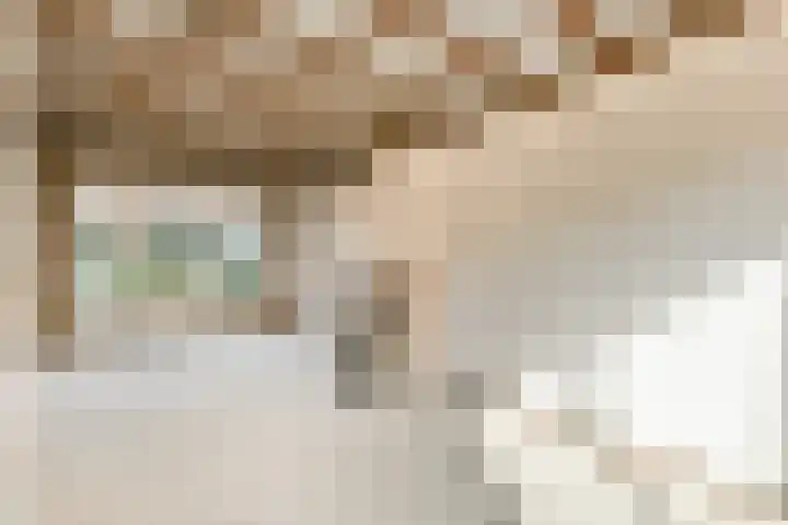 Inslag 34 Laren thumbnail 4