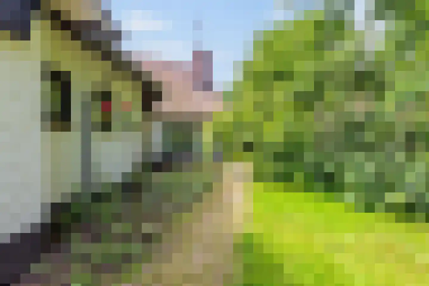 Inslagstraat 4 Oldenzaal thumbnail 26