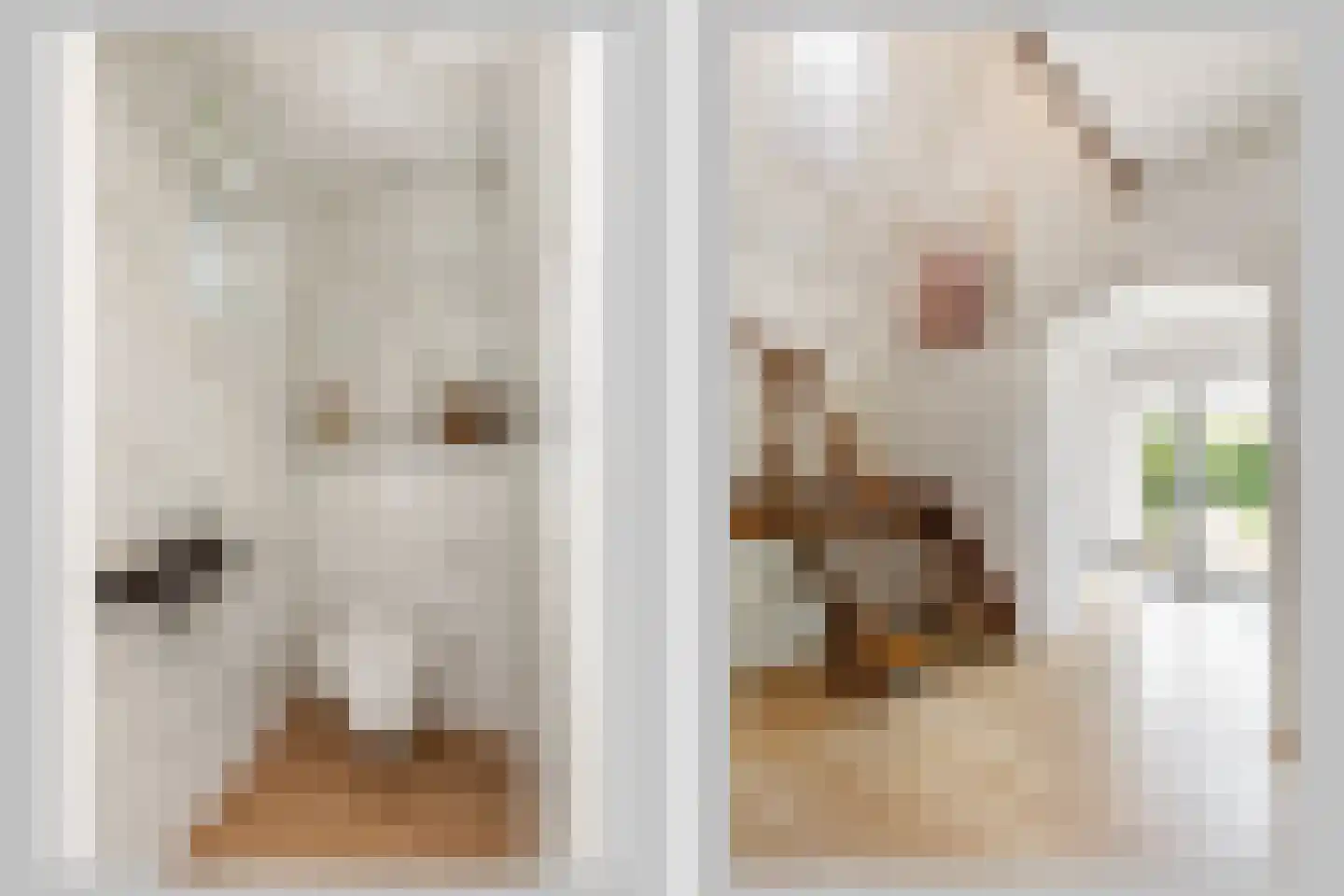 Inslagstraat 4 Oldenzaal thumbnail 4