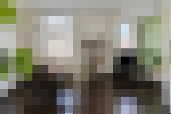 Inslagstraat 9 Winterswijk thumbnail 8