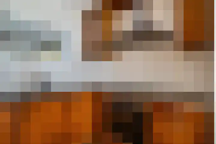 Inspecteur Schreuderlaan 12 Soest thumbnail 10