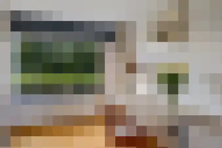 Inspecteur Schreuderlaan 12 Soest thumbnail 14