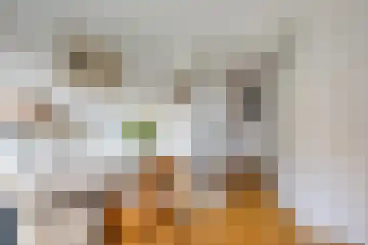 Inspecteur Schreuderlaan 12 Soest thumbnail 15