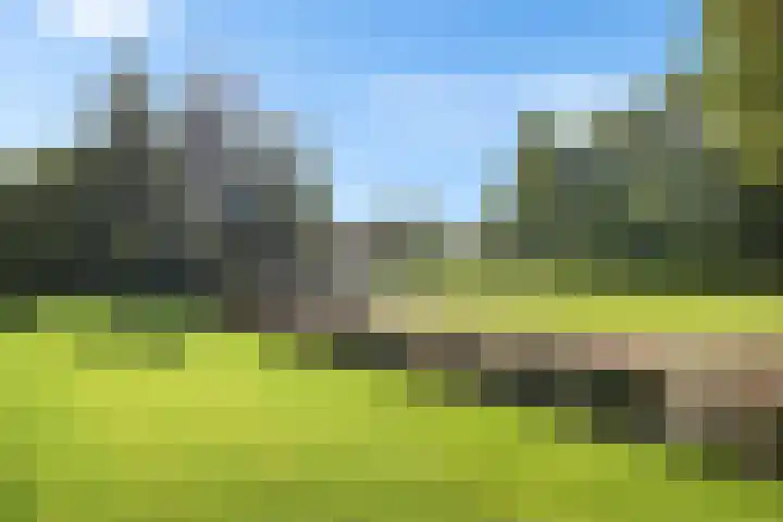 Inspecteur Schreuderlaan 12 Soest thumbnail 19