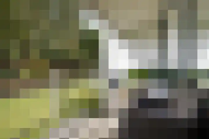 Inspecteur Schreuderlaan 12 Soest thumbnail 23