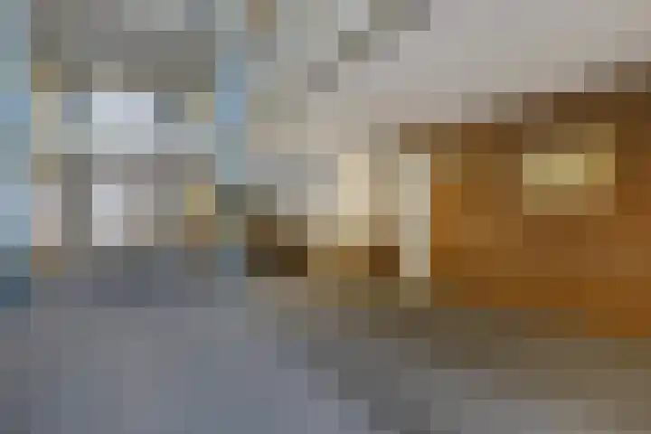 Inspecteur Schreuderlaan 12 Soest thumbnail 24
