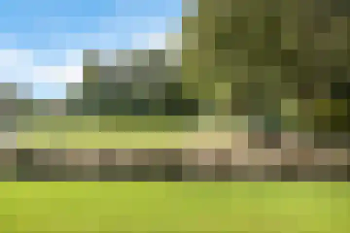 Inspecteur Schreuderlaan 12 Soest thumbnail 25
