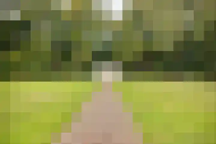 Inspecteur Schreuderlaan 12 Soest thumbnail 26