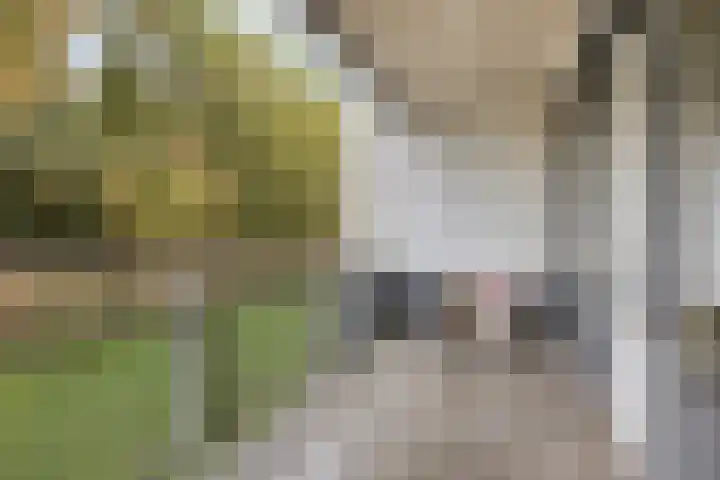 Inspecteur Schreuderlaan 14 Soest thumbnail 17