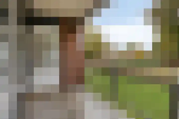Inspecteur Schreuderlaan 14 Soest thumbnail 18