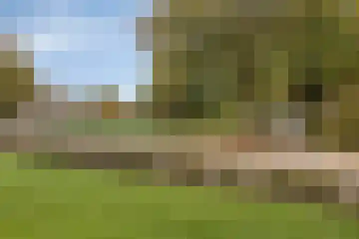 Inspecteur Schreuderlaan 14 Soest thumbnail 19