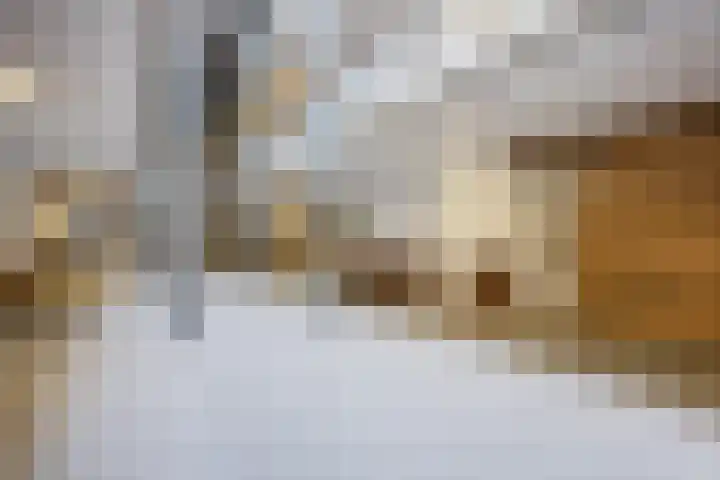 Inspecteur Schreuderlaan 14 Soest thumbnail 21