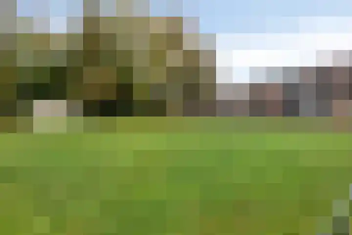Inspecteur Schreuderlaan 14 Soest thumbnail 27