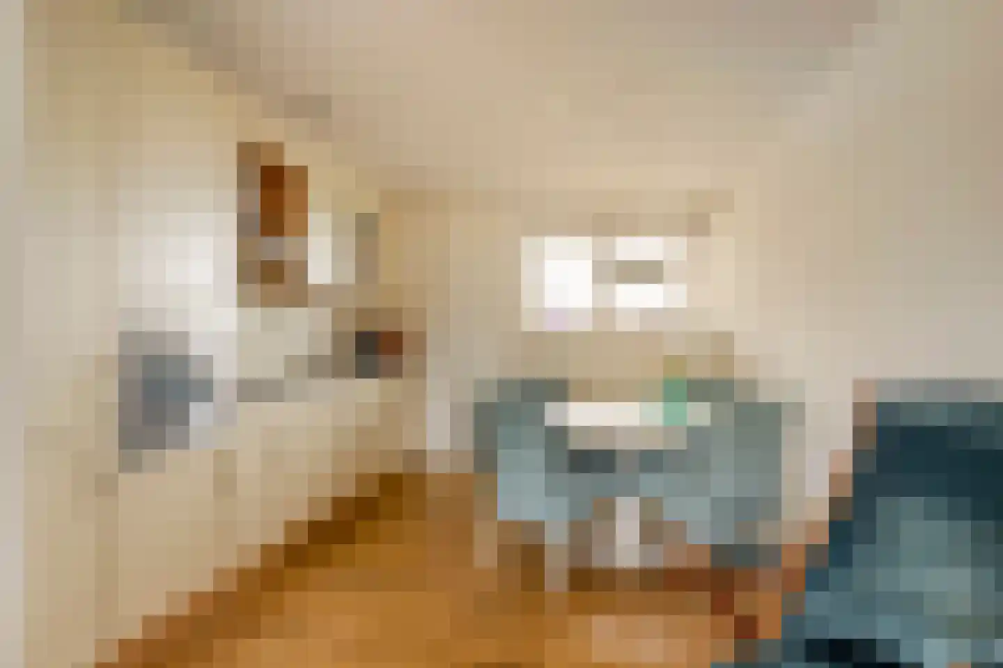 Inspecteur Schreuderlaan 150 Soest thumbnail 10