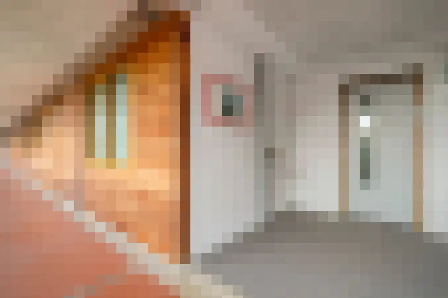 Inspecteur Schreuderlaan 150 Soest thumbnail 22