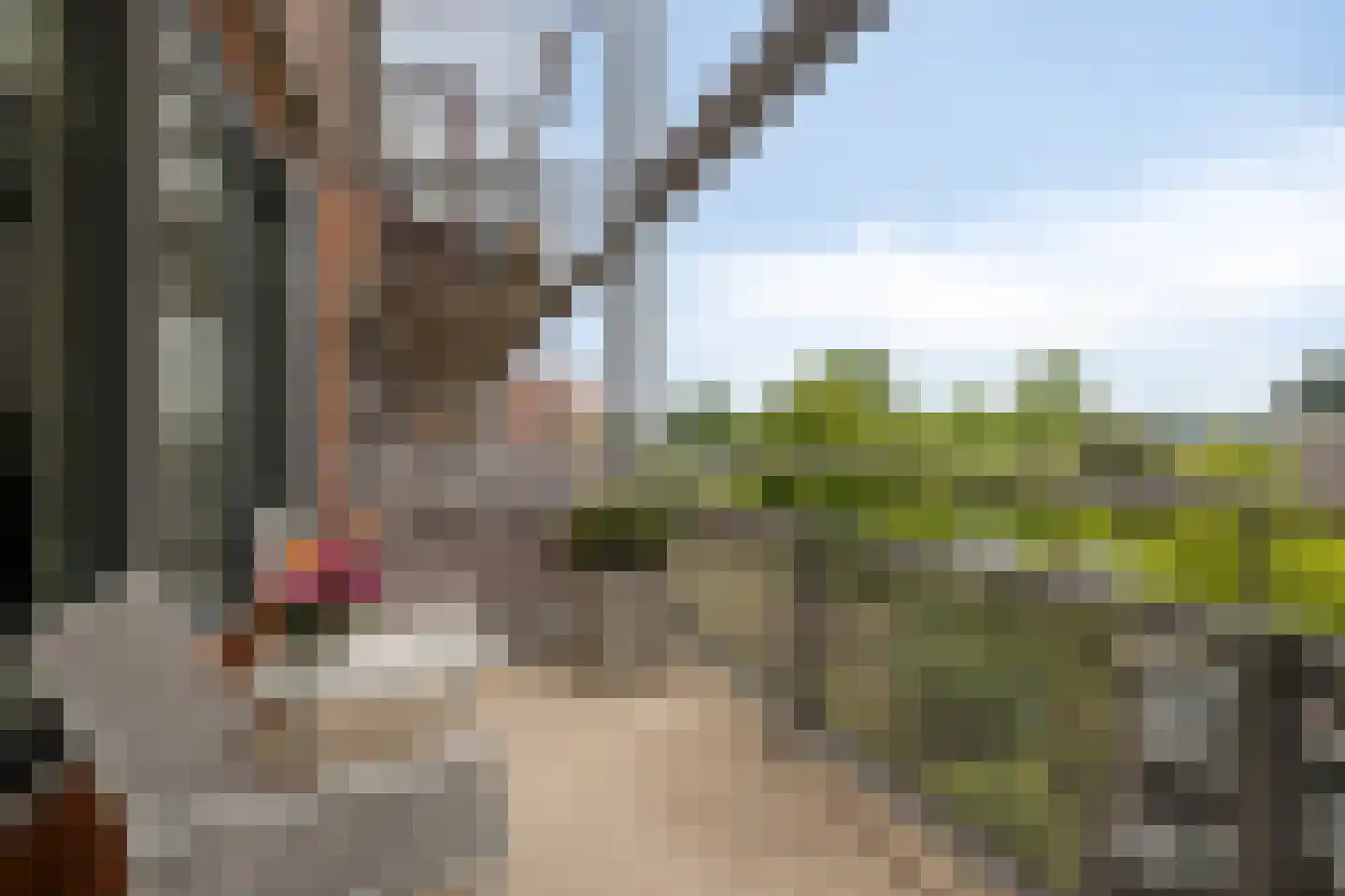 Inspecteur Schreuderlaan 150 Soest thumbnail 4