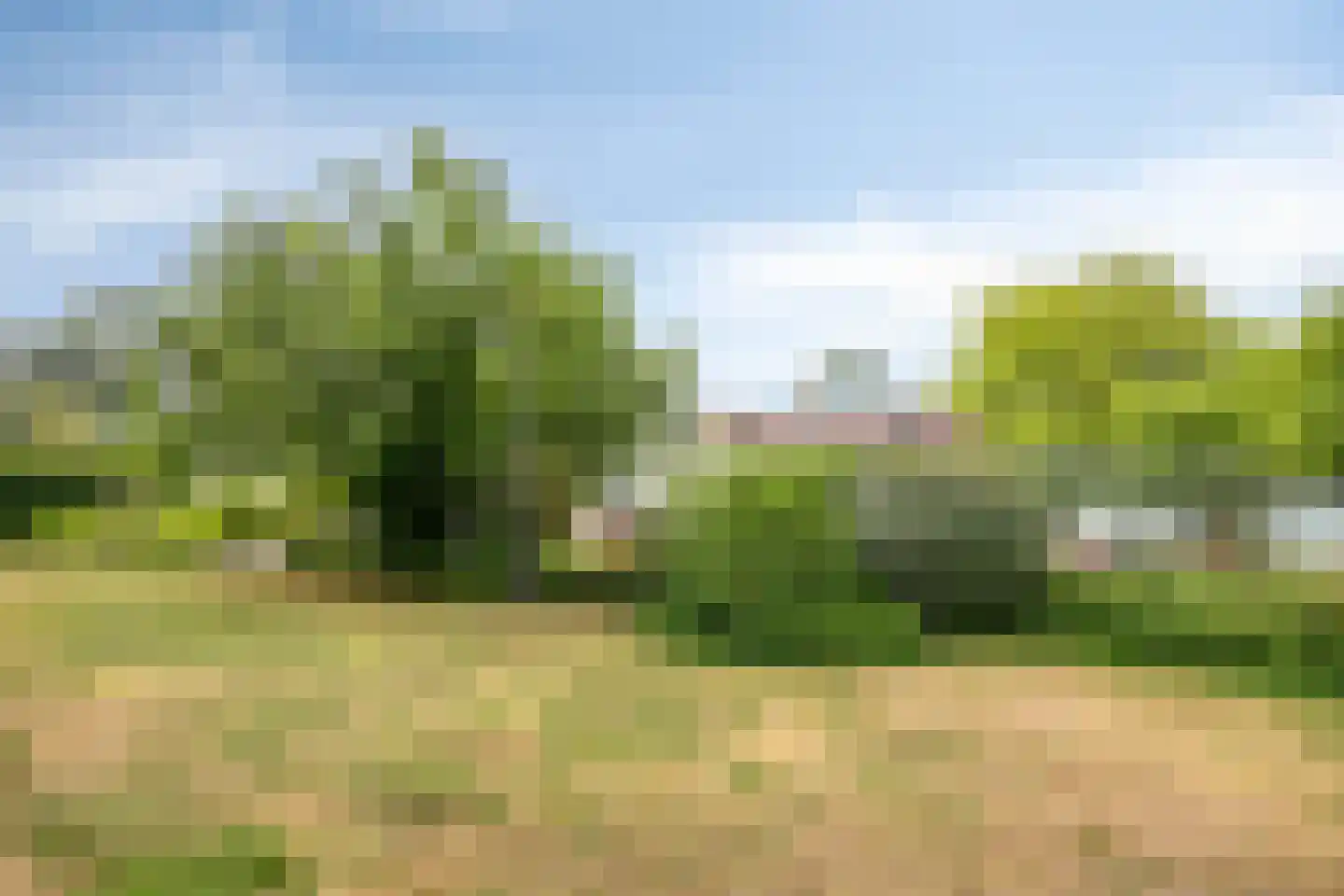 Inspecteur Schreuderlaan 174 Soest thumbnail 6