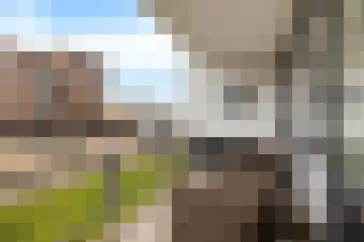 Inspecteur Schreuderlaan 180 Soest thumbnail 5