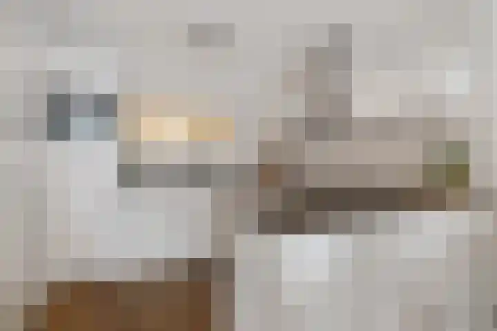 Inspecteur Schreuderlaan 180 Soest thumbnail 6