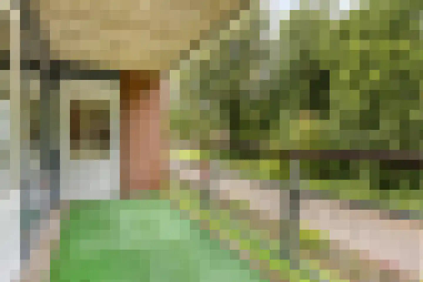Inspecteur Schreuderlaan 58 Soest thumbnail 19