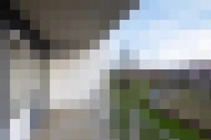 Inspecteur Schreuderlaan 70 Soest thumbnail 17