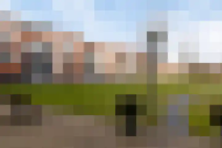 Inspecteur Schreuderlaan 70 Soest thumbnail 24