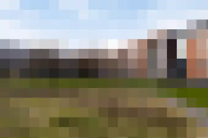 Inspecteur Schreuderlaan 70 Soest thumbnail 25