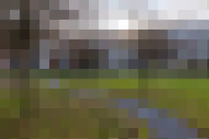 Inspecteur Schreuderlaan 70 Soest thumbnail 26