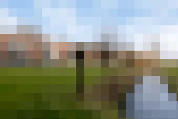 Inspecteur Schreuderlaan 70 Soest thumbnail 27
