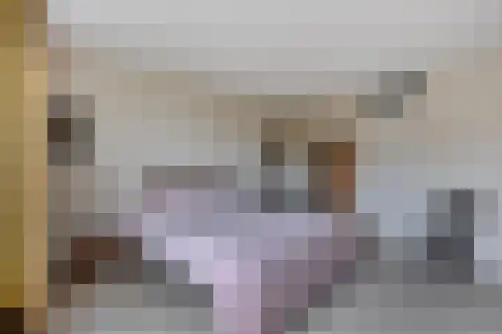 Inspecteur Schreuderlaan 74 Soest thumbnail 15