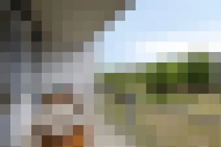 Inspecteur Schreuderlaan 74 Soest thumbnail 25