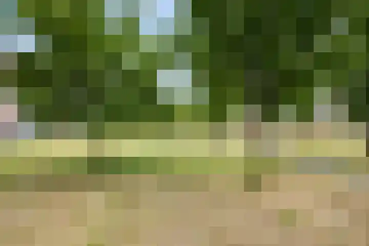 Inspecteur Schreuderlaan 74 Soest thumbnail 28