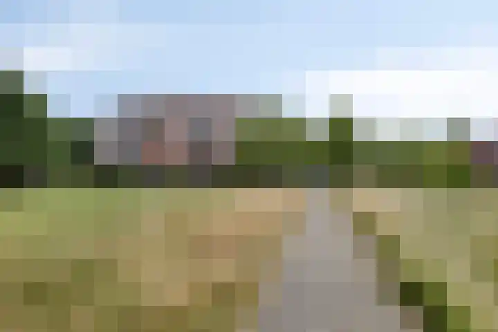 Inspecteur Schreuderlaan 74 Soest thumbnail 35