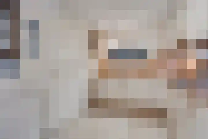 Inspecteur Schreuderlaan 74 Soest thumbnail 9