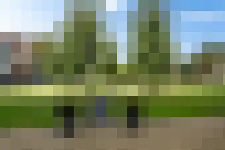 Inspecteur Schreuderlaan 94 Soest thumbnail 27
