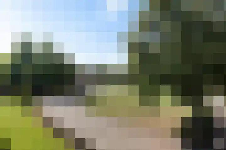 Inspecteur Schreuderlaan 94 Soest thumbnail 7