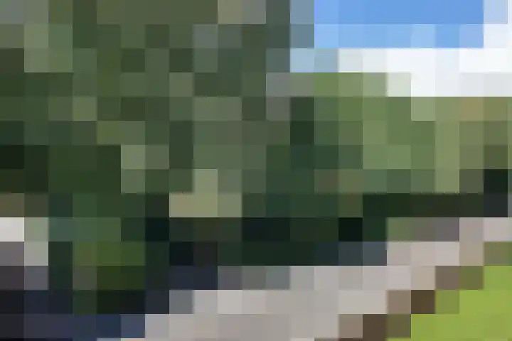 Inspecteur Schreuderlaan 94 Soest thumbnail 8