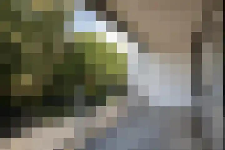 Inspecteur Schreuderlaan 94 Soest thumbnail 9