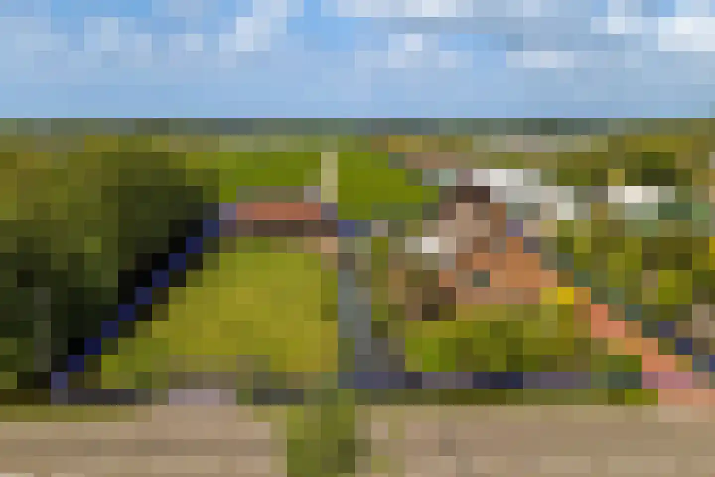 Insteek 24 Boskoop