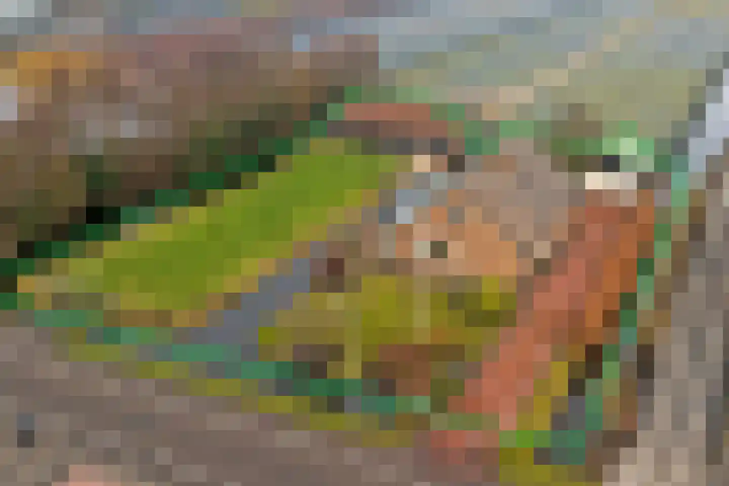 Insteek 24 Boskoop