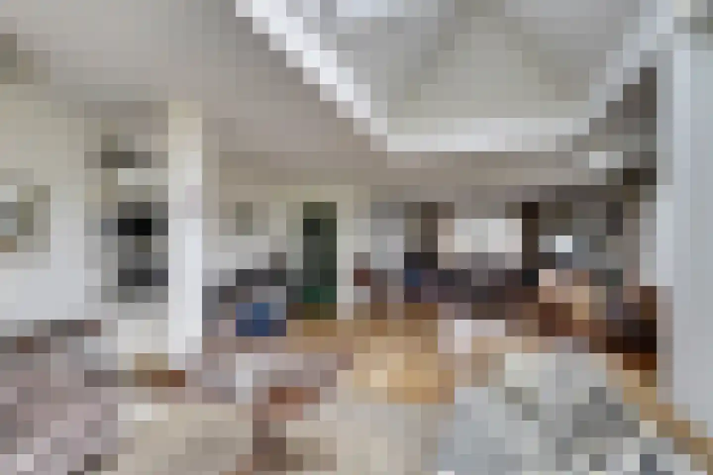 Insteek 24 Boskoop thumbnail 17