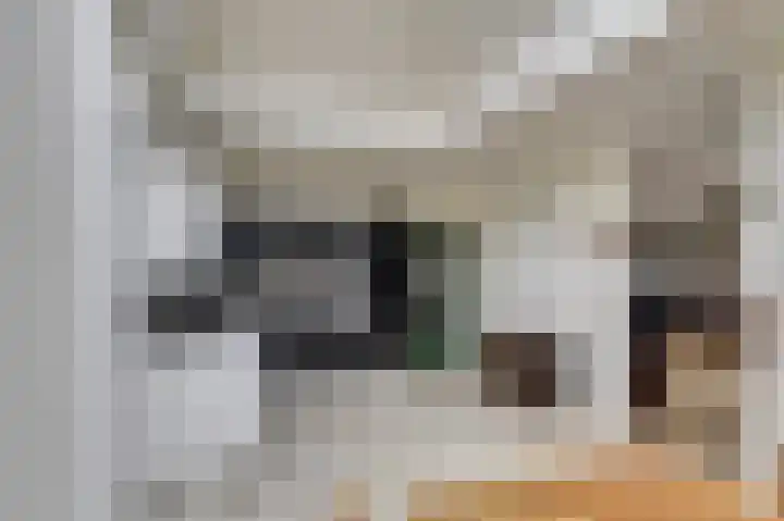 Insteek 24 Boskoop thumbnail 19