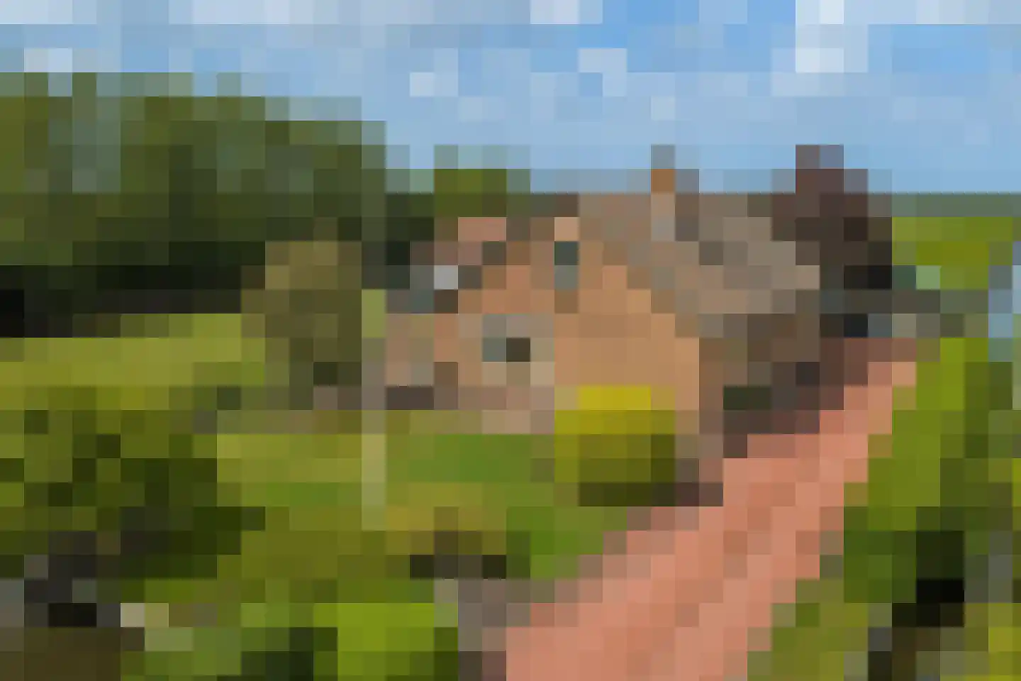 Insteek 24 Boskoop foto 2