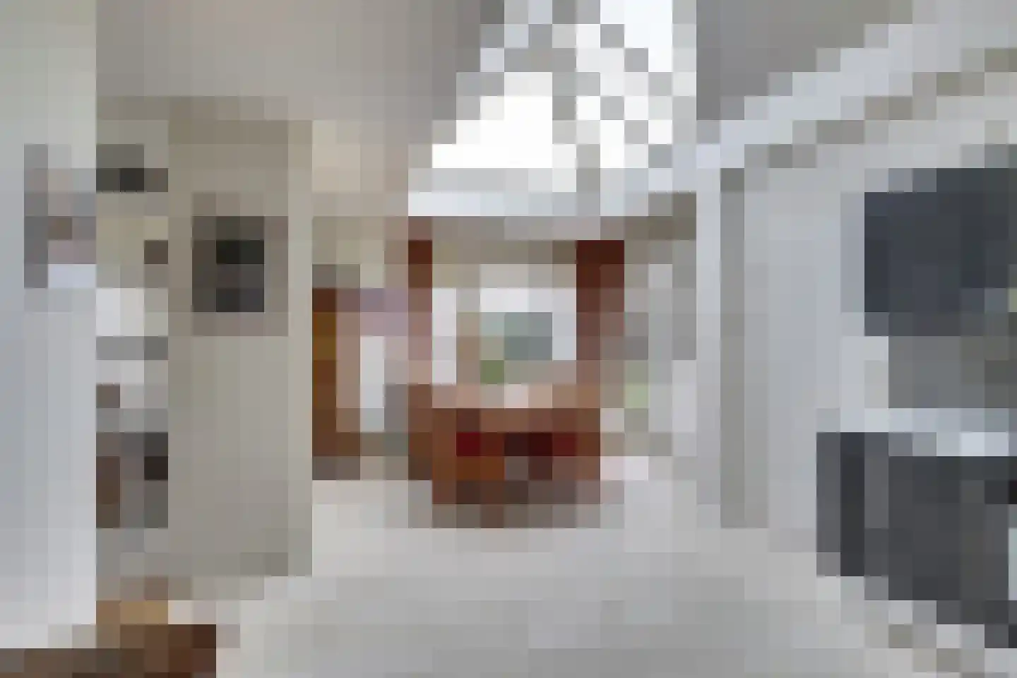 Insteek 24 Boskoop thumbnail 20