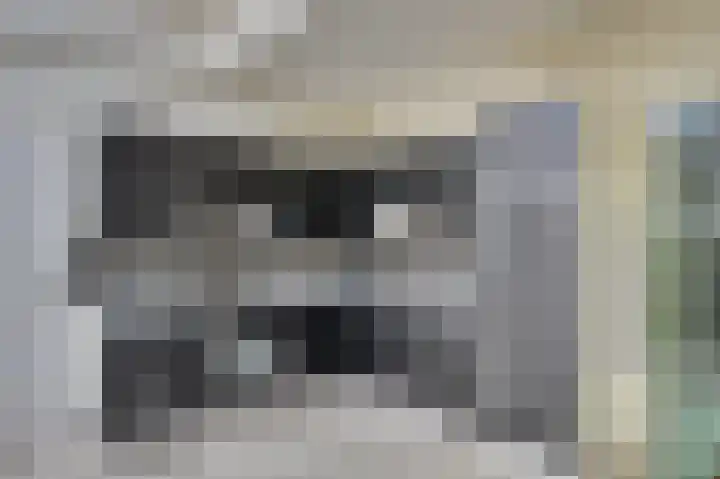 Insteek 24 Boskoop thumbnail 21