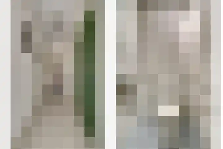 Insteek 24 Boskoop thumbnail 23