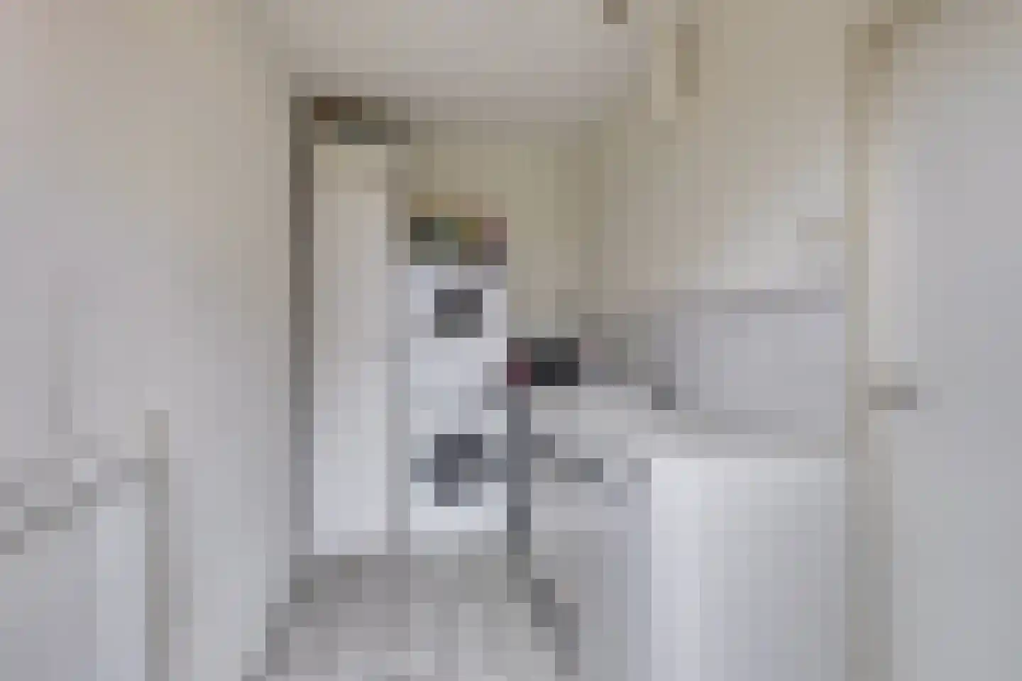 Insteek 24 Boskoop thumbnail 24