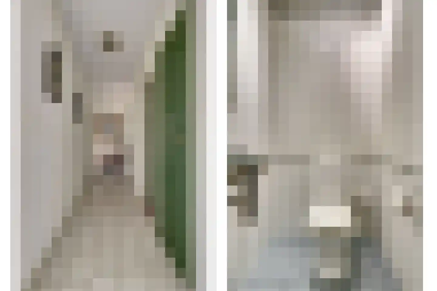 Insteek 24 Boskoop thumbnail 25