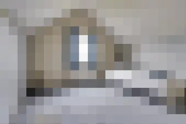 Insteek 24 Boskoop thumbnail 34